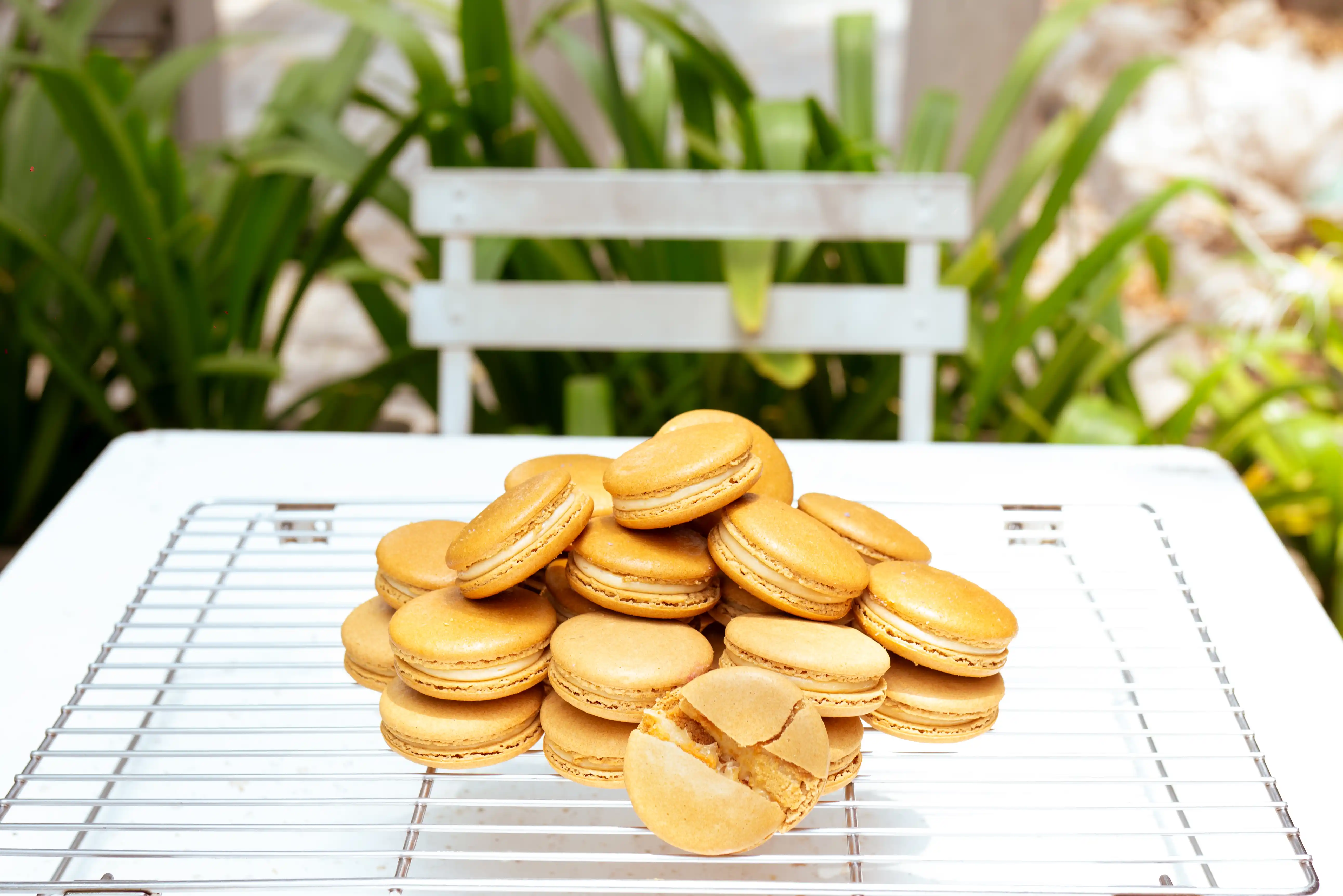 Dulche de leche Macarons