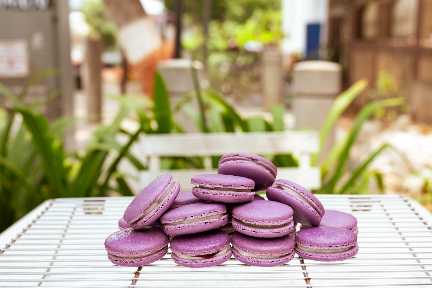 Eggless Blueberry Macarons