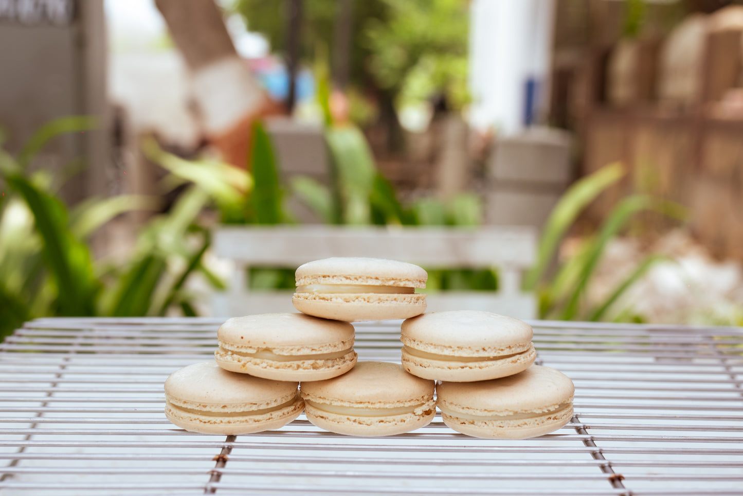 Eggless Vanilla Macarons